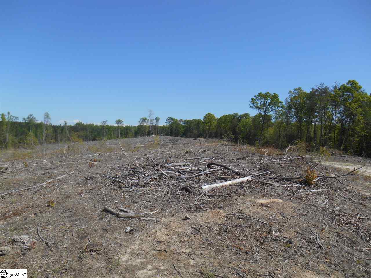 0 Jerome Bailey Road Gray Court, SC 29645 - Photo 4 of 6 Gallery Image 4