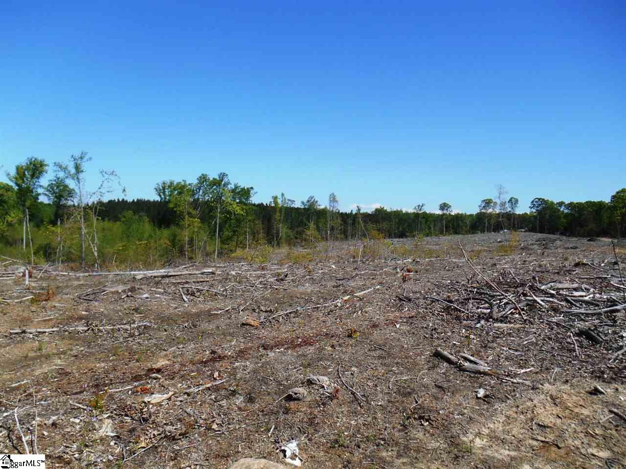 0 Jerome Bailey Road Gray Court, SC 29645 - Photo 5 of 6 Gallery Image 5