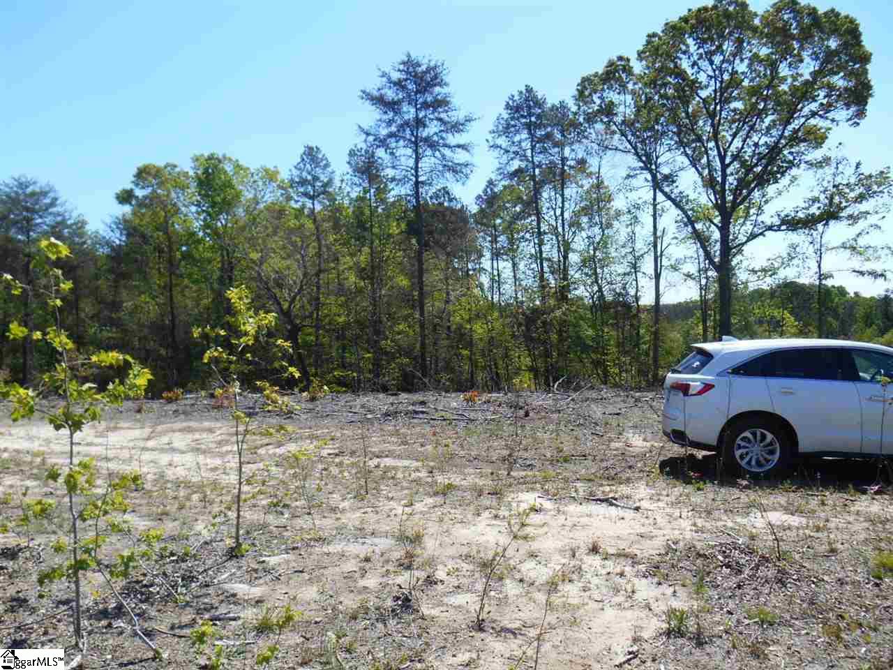 0 Jerome Bailey Road Gray Court, SC 29645 - Photo 6 of 6 Gallery Image 6