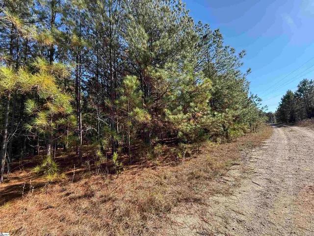 $125,000 | 0 West 378th Highway, Unit TBD HIGHWAY 378 WEST, McCormick, SC 29835