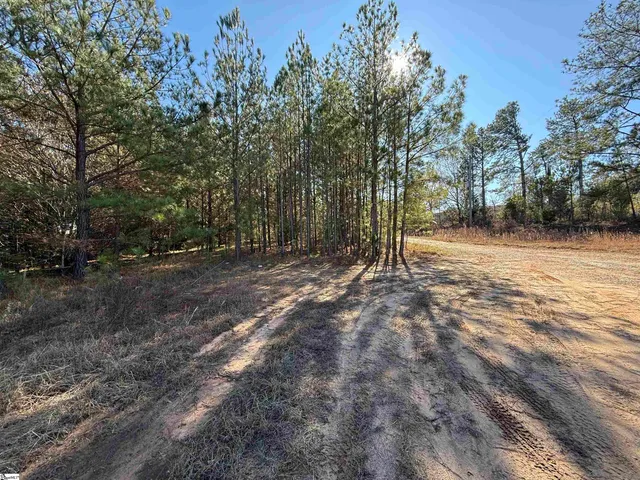 $125,000 | 0 West 378th Highway, Unit TBD HIGHWAY 378 WEST, McCormick, SC 29835
