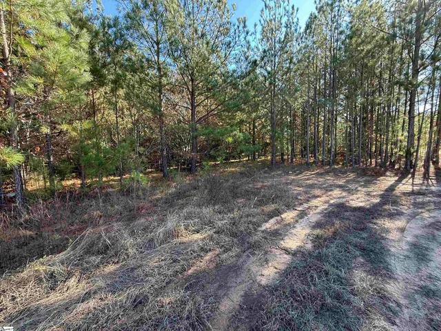 $125,000 | 0 West 378th Highway, Unit TBD HIGHWAY 378 WEST, McCormick, SC 29835