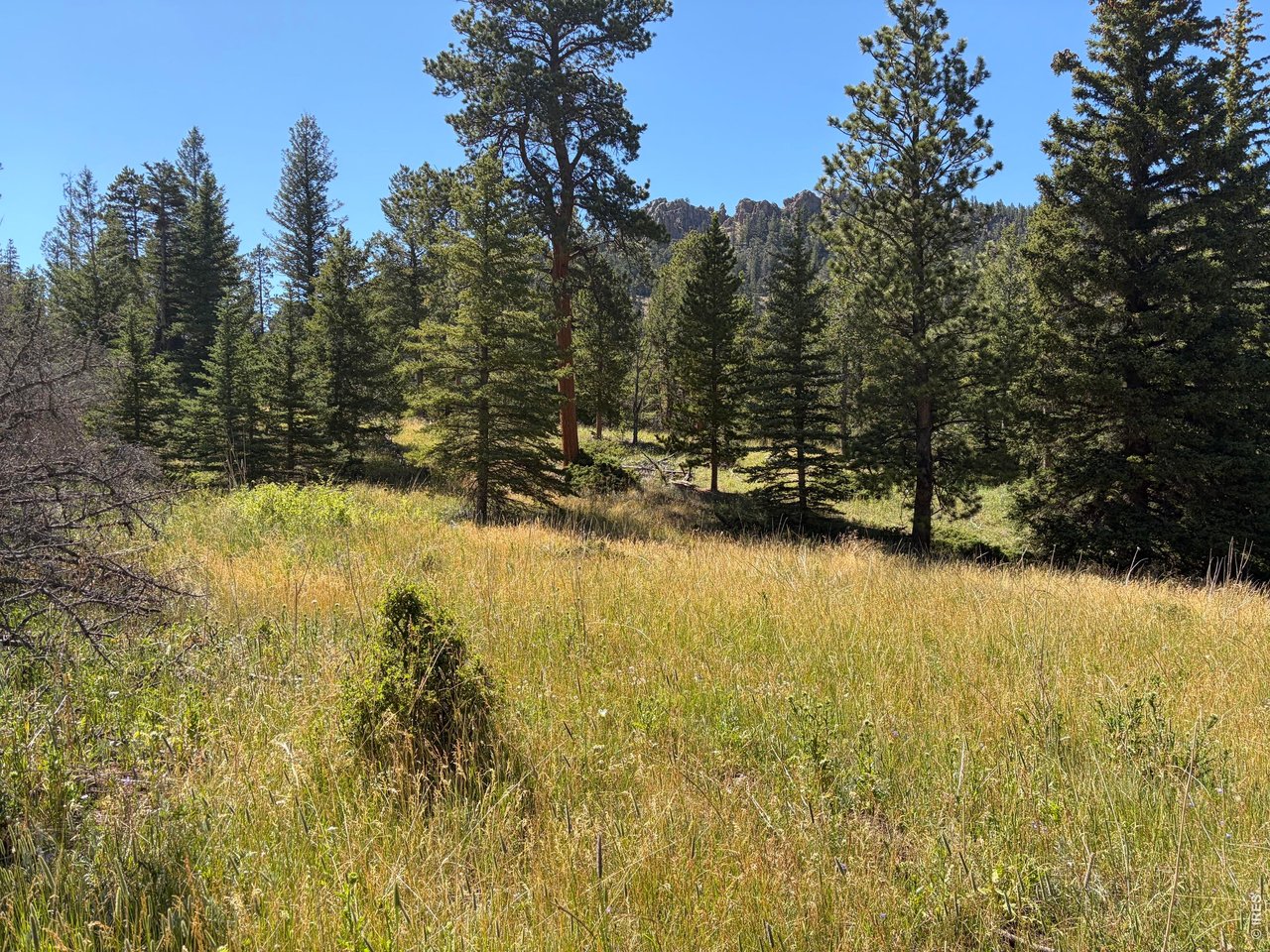 Pratt Creek Road Livermore, CO 80536 - Photo 18 of 18 Gallery Image 18
