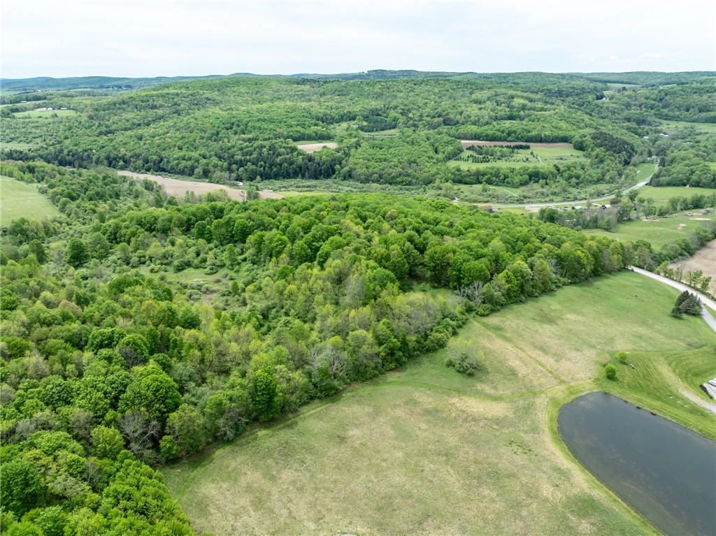 Bell Road New Berlin, NY 13411 - Photo 9 of 11