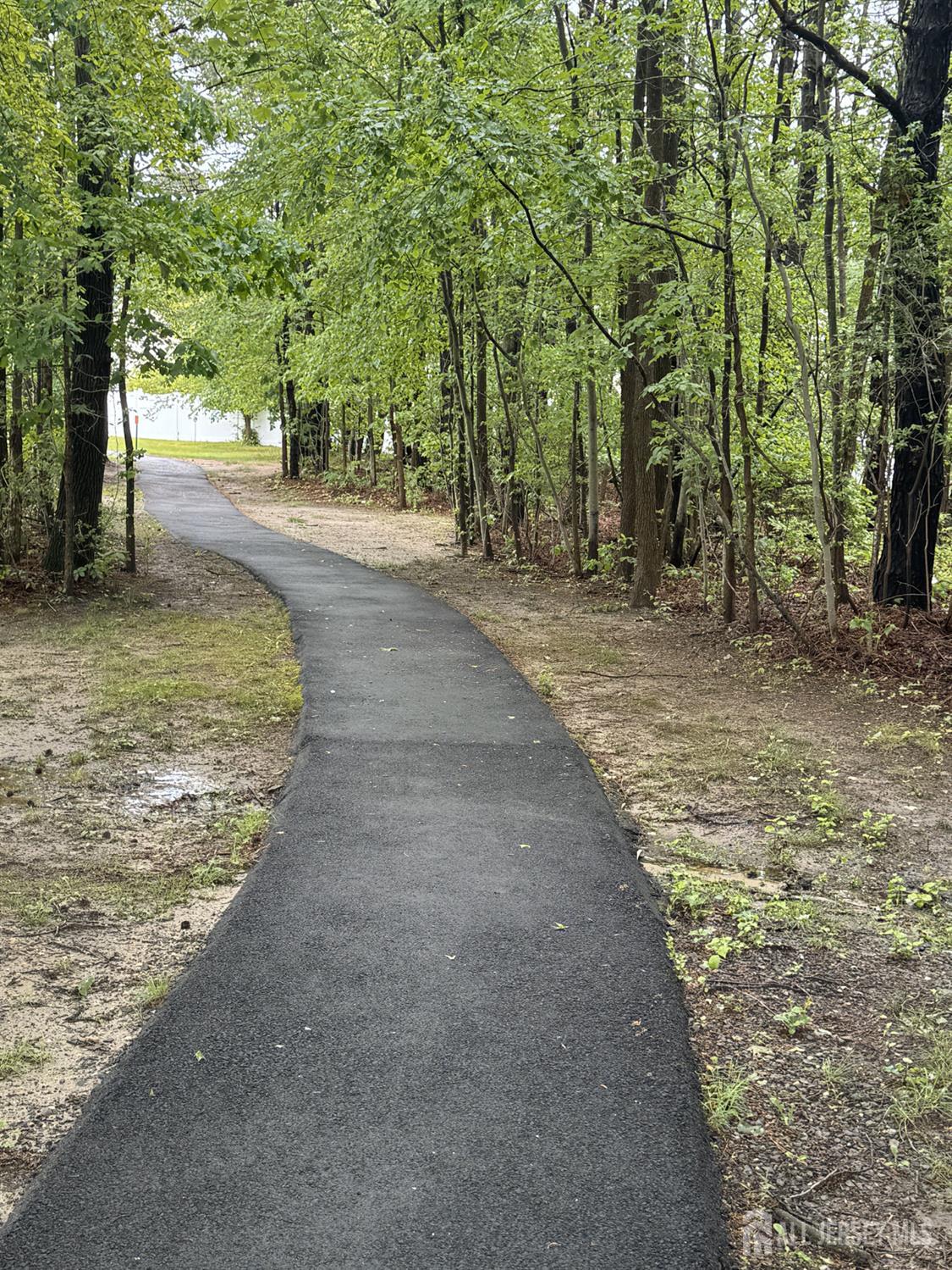 7 Manor Court Old Bridge, NJ 08857 - Photo 43 of 46 a view of a yard with plants and trees