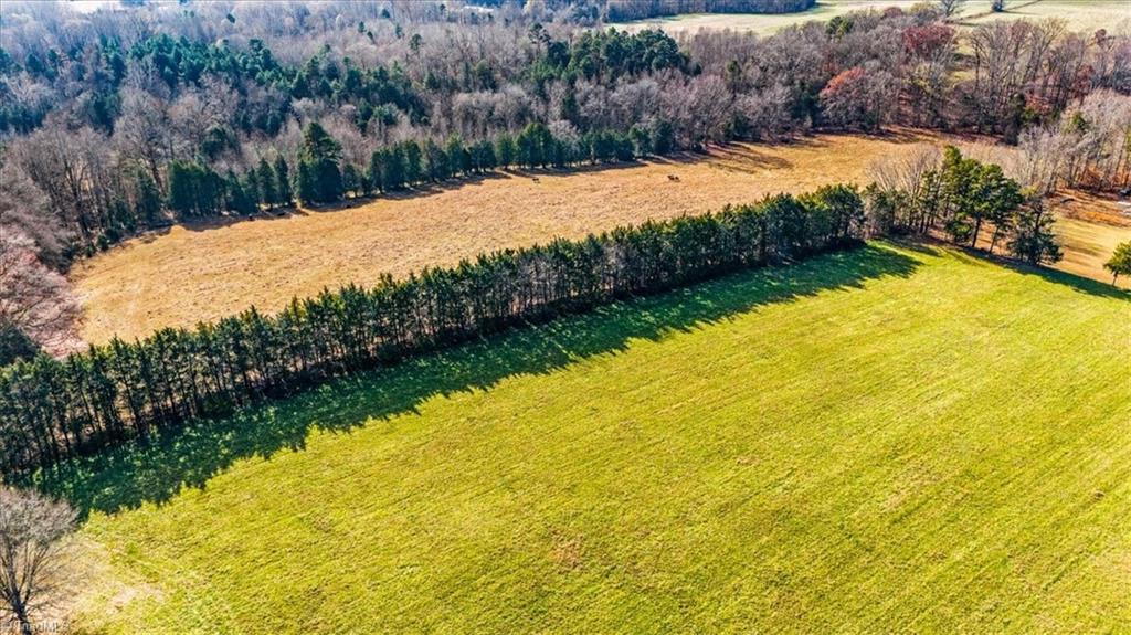 0 Juney Beauchamp Road Advance, NC 27006 - Photo 11 of 16