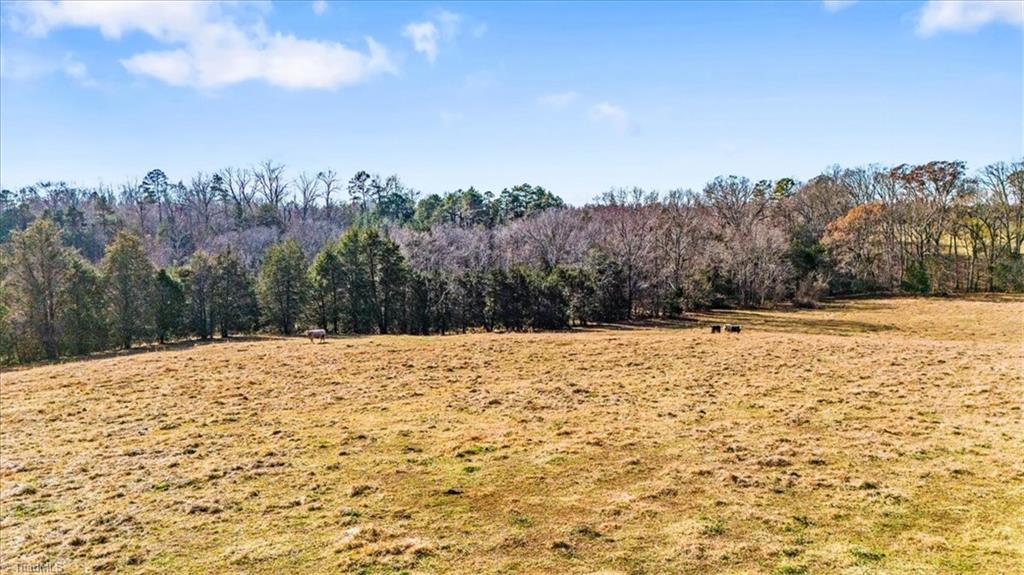 0 Juney Beauchamp Road Advance, NC 27006 - Photo 13 of 16