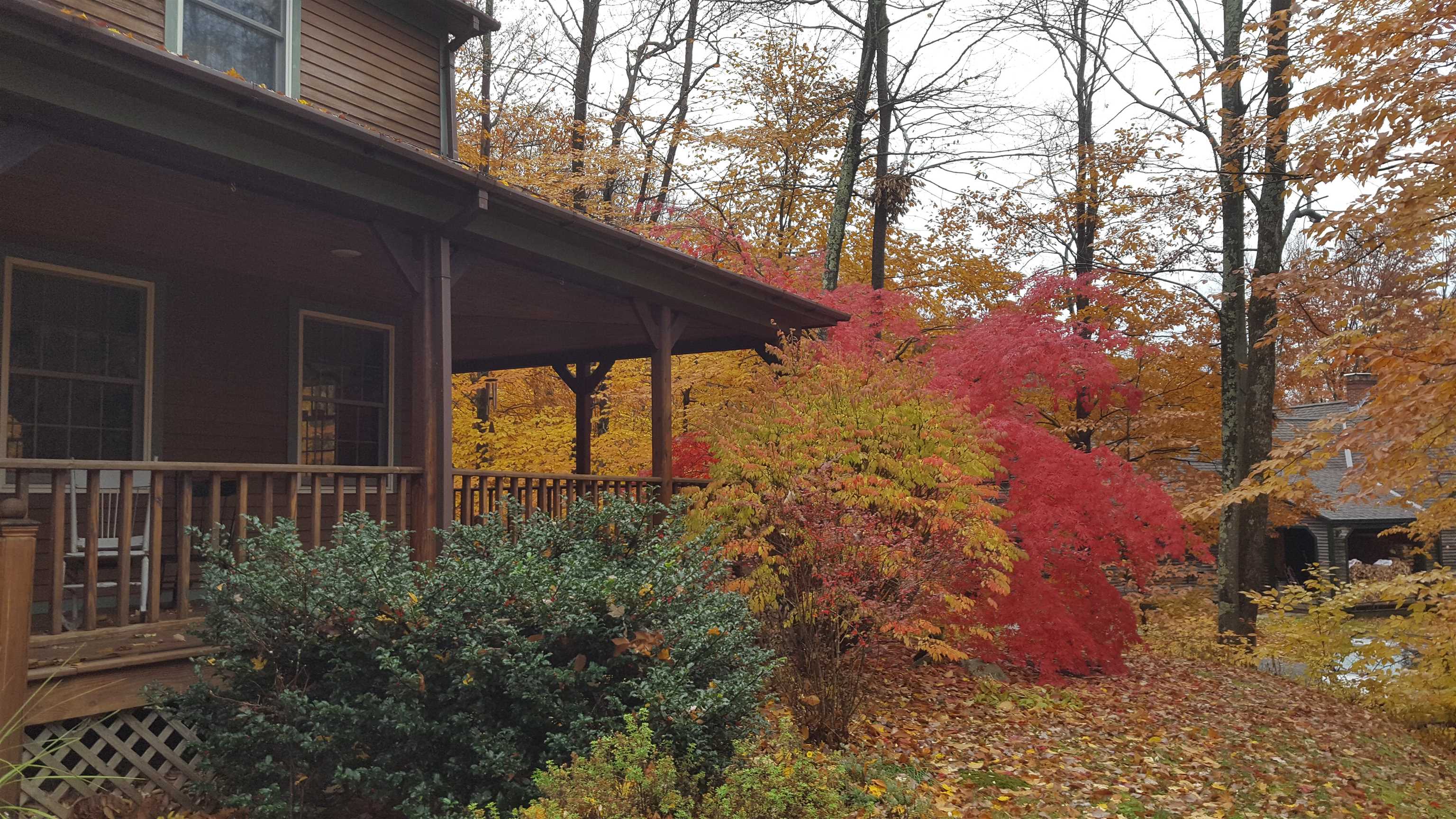 18 Forest Ridge Drive Middlebury, VT 05753 - Photo 36 of 40 Gallery Image 36