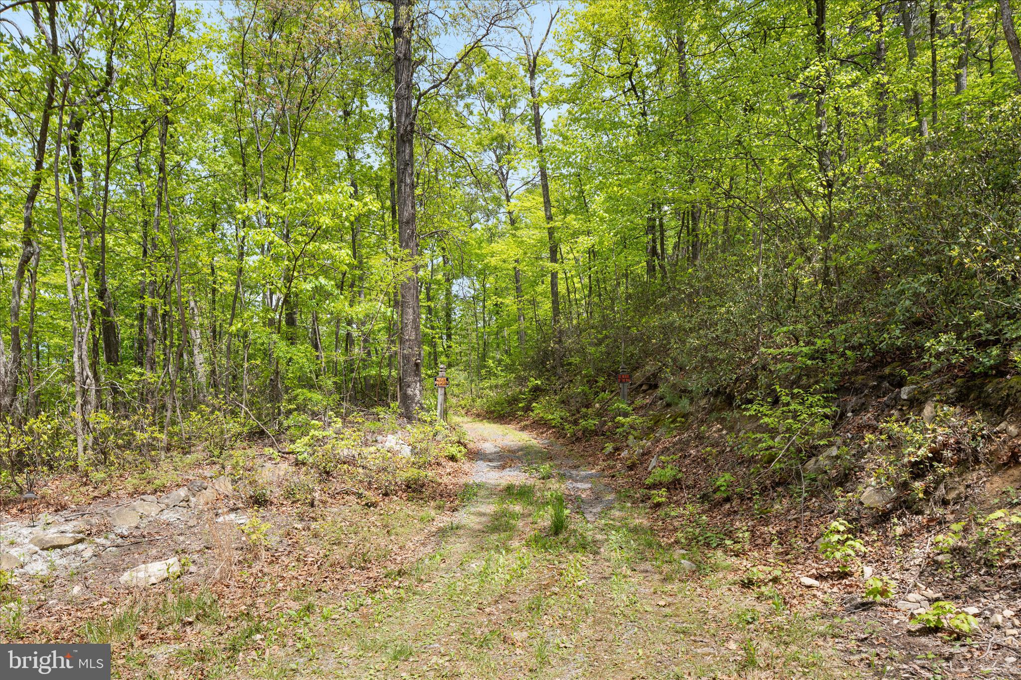 551 Sawlog Road Gore, VA 22637 - Photo 22 of 27 Entrance to property on Sawlog Rd.