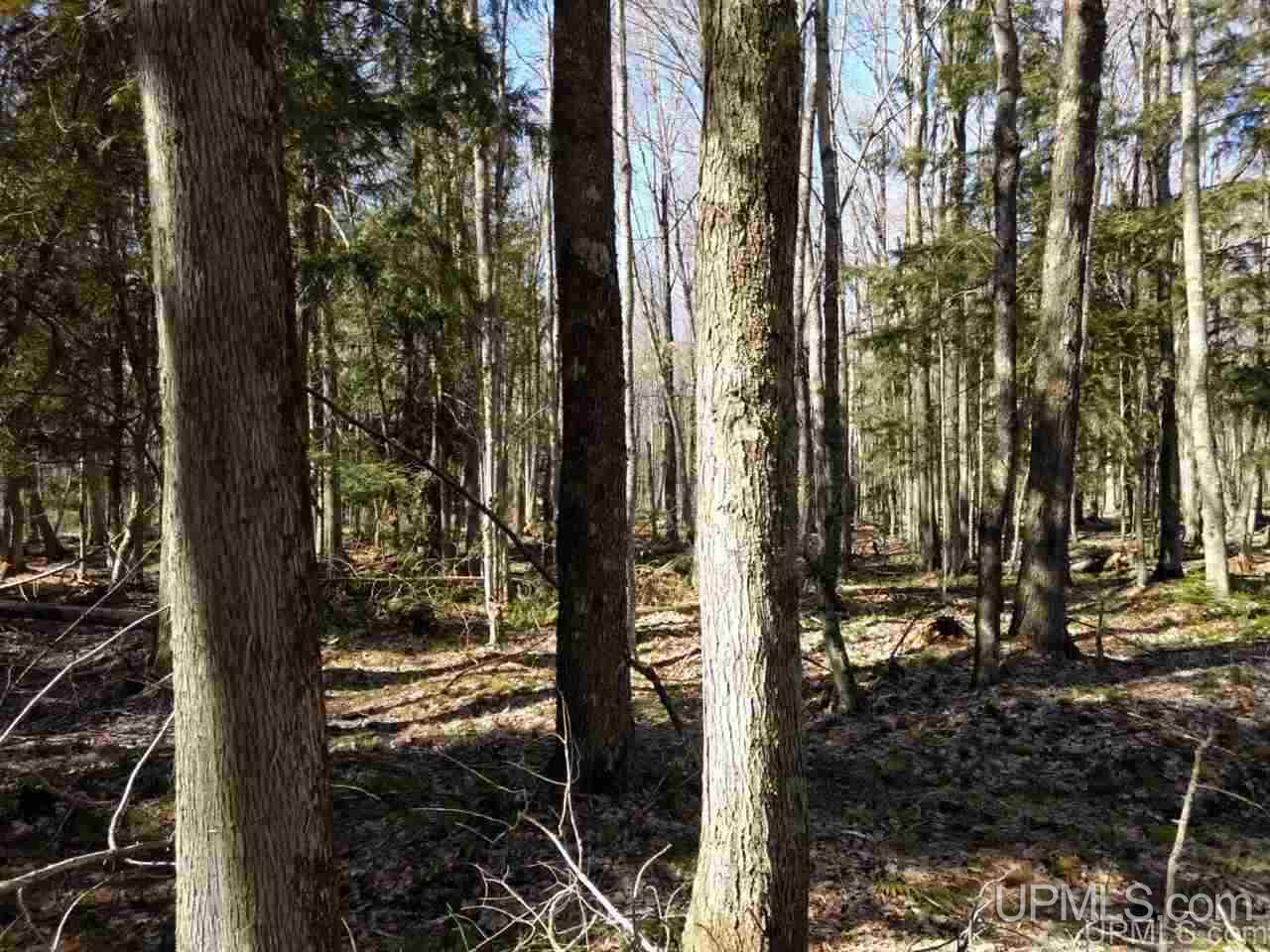 Tbd Off Pt Abbaye Road Lanse, MI 49946 - Photo 6 of 38 Gallery Image 6
