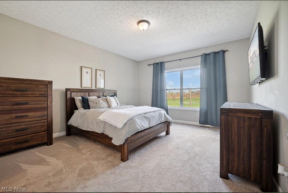 405 East Luchsinger Road Port Clinton, OH 43452 - Photo 16 of 40 Carpeted bedroom with a textured ceiling