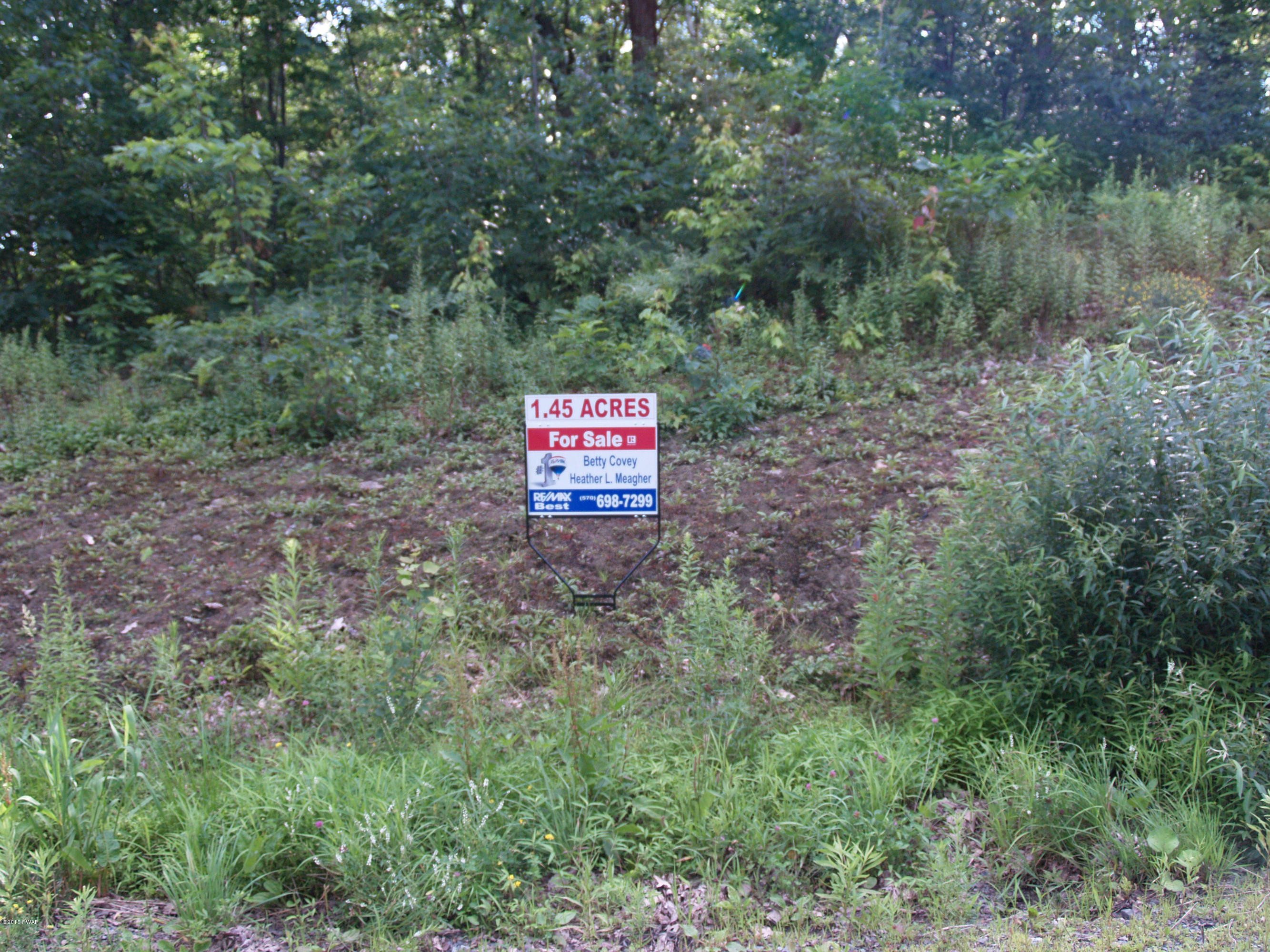 L95 Windsor Way Moscow, PA 18444 - Photo 5 of 6