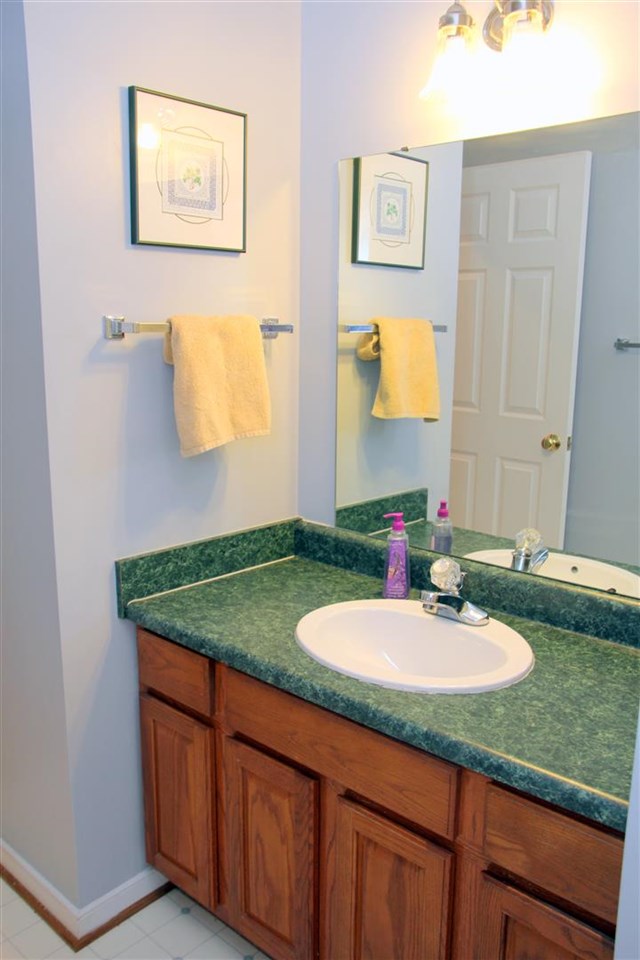 39 Rudolph Street Ruckersville, VA 22968 - Photo 25 of 30 a bathroom with a granite countertop sink and a mirror