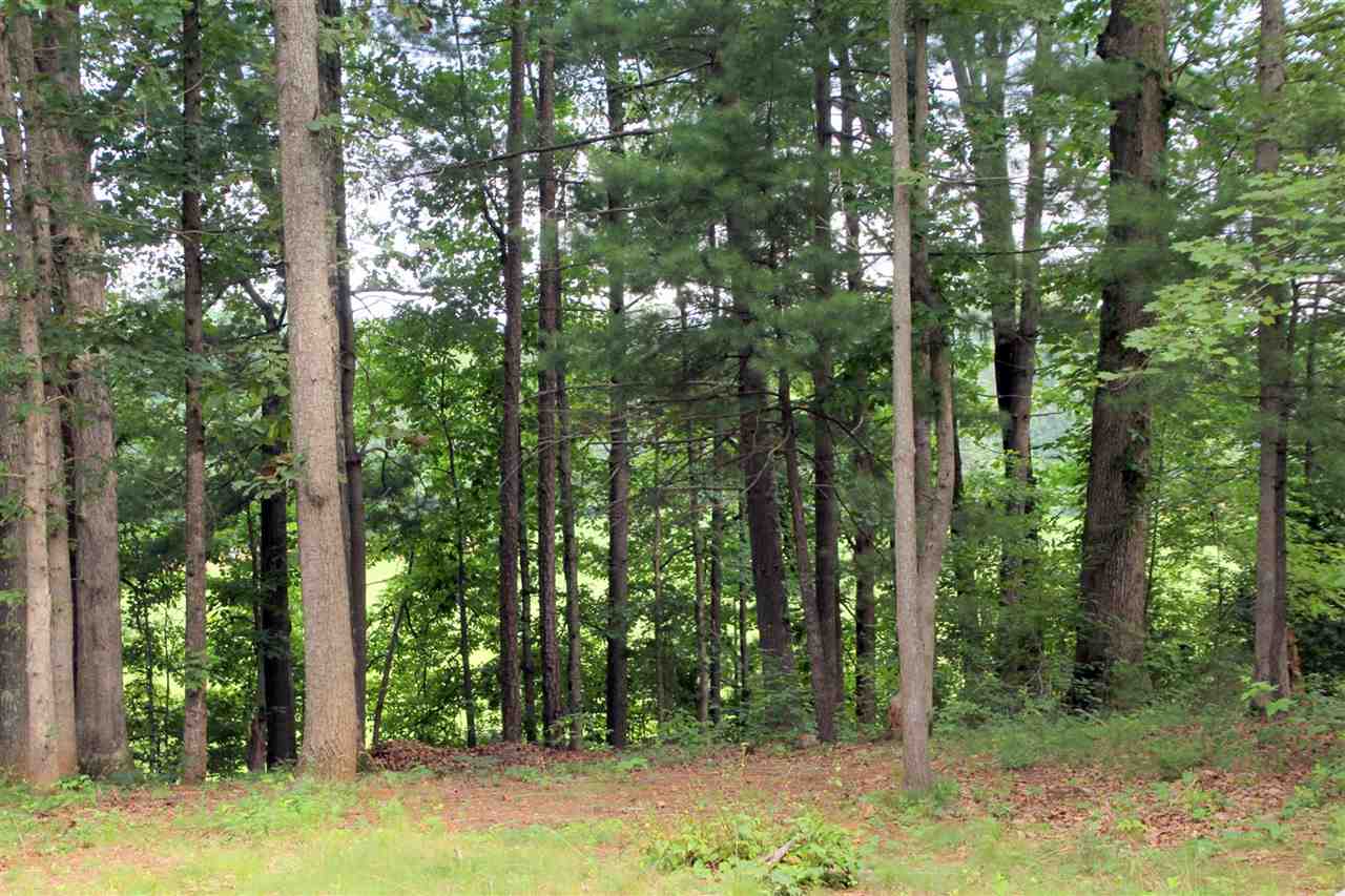 39 Rudolph Street Ruckersville, VA 22968 - Photo 28 of 30 a view of forest