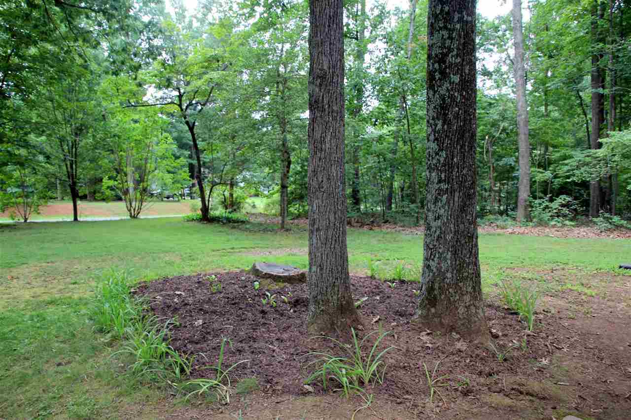 39 Rudolph Street Ruckersville, VA 22968 - Photo 30 of 30 a view of a house with a backyard