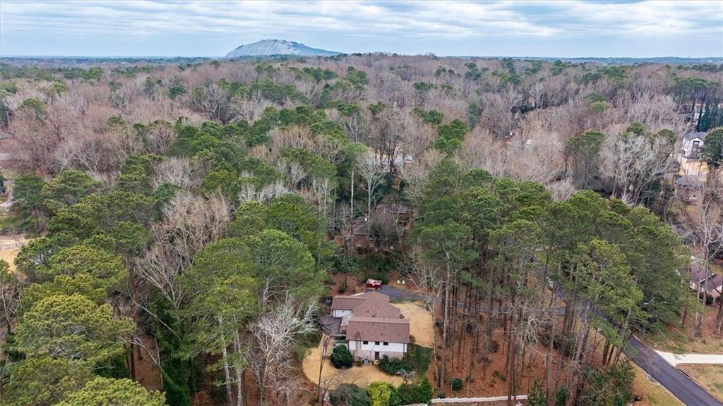 5087 Antelope Lane Smoke Rise, GA 30087 - Photo 4 of 56 an aerial view of a city