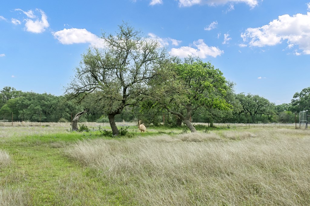 181 Real Lake House Road South Kerrville, TX 78028 - Photo 12 of 18 a view of outdoor space with green field and trees