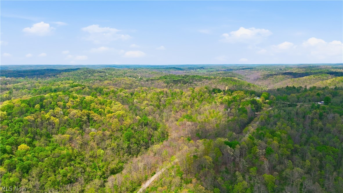 Beardmore Road Wingett Run, OH 45789 - Photo 8 of 43