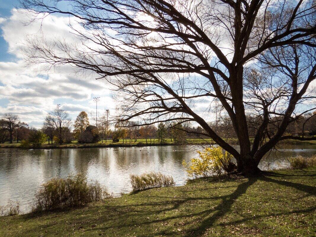 2440 South 81st Street West Allis, WI 53219 - Photo 33 of 35 Picturesque pond