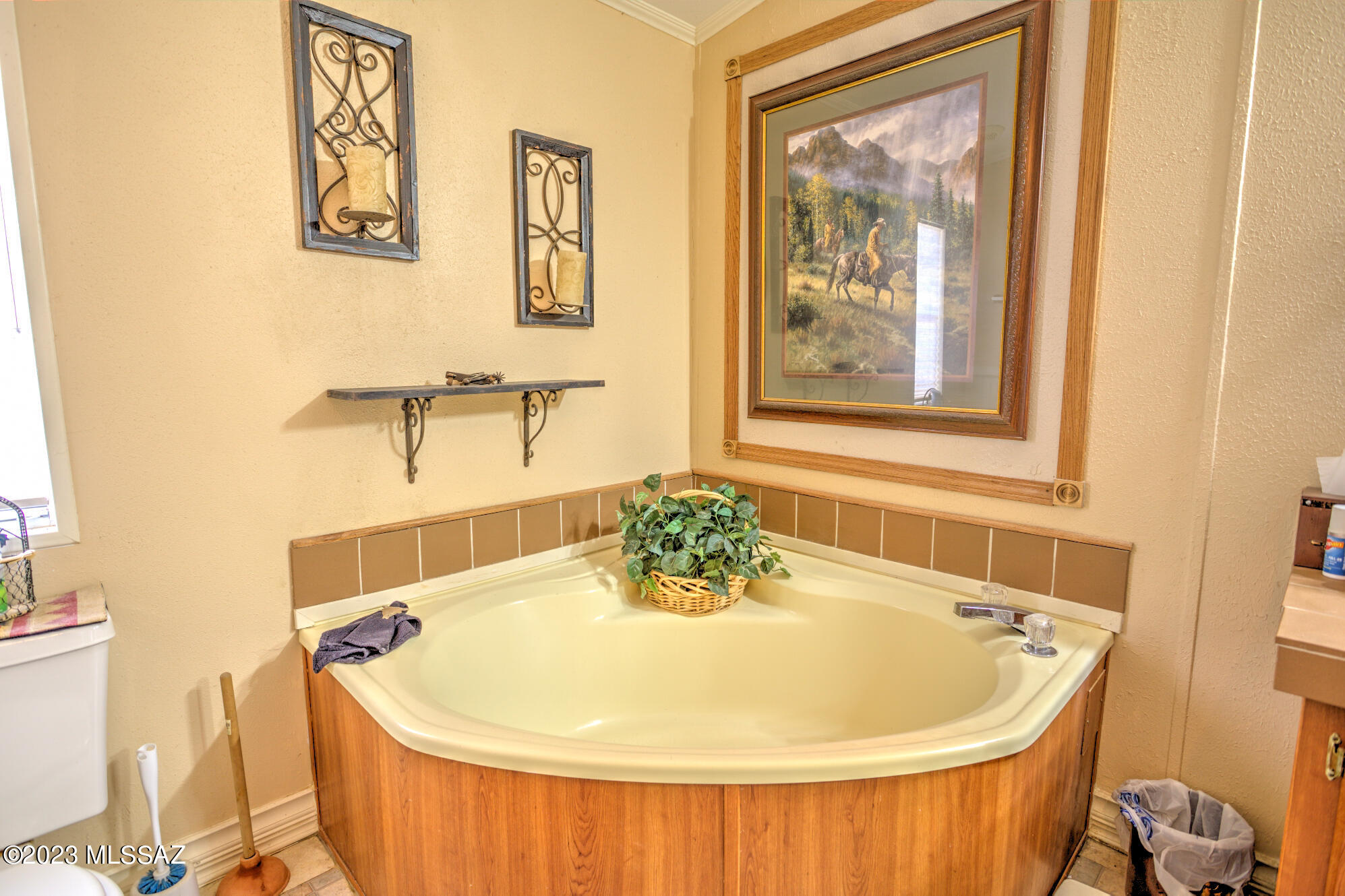 8670 South Marstellar Road Tucson, AZ 85736 - Photo 33 of 47 Gallery Image 33
