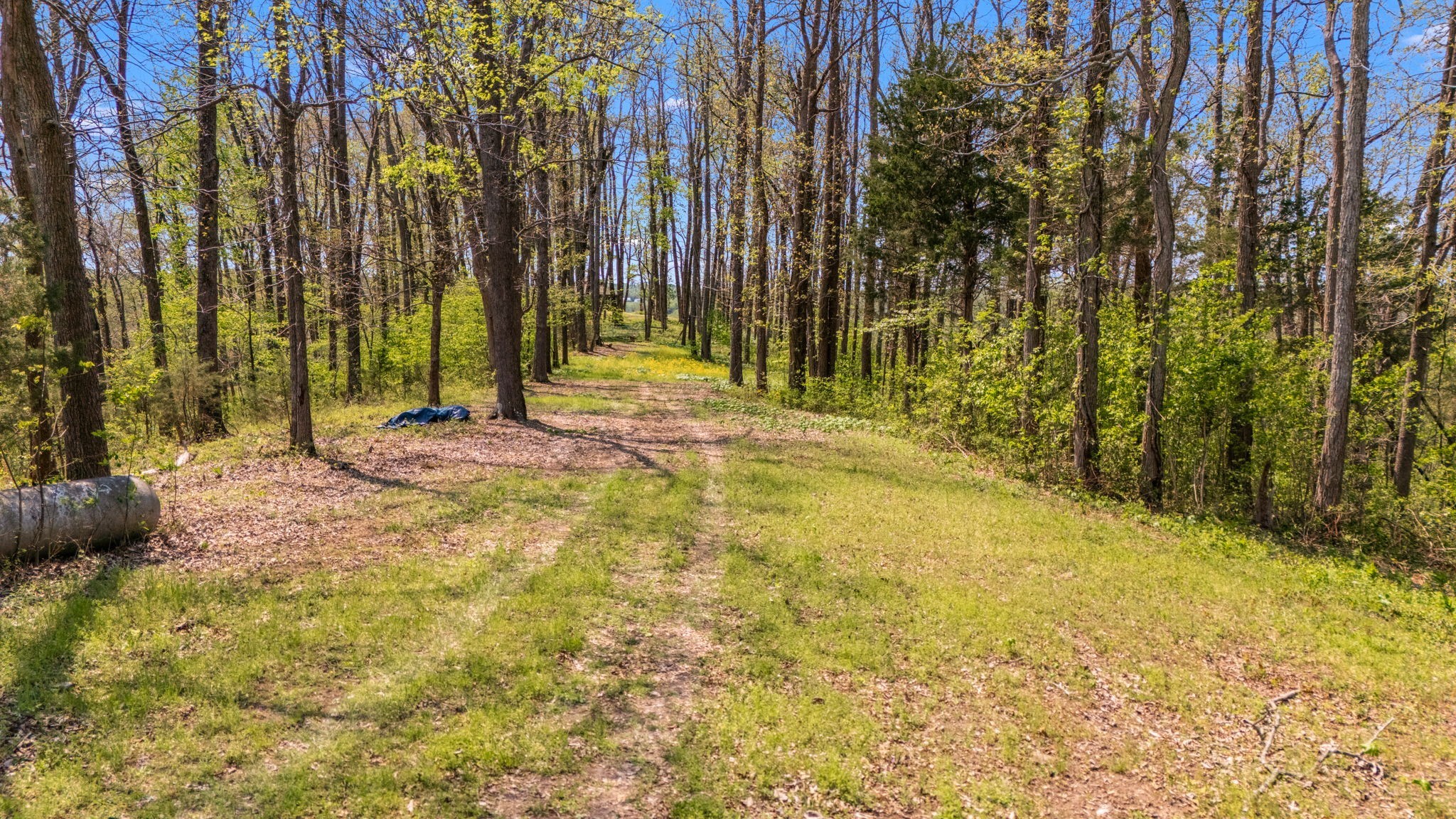 0 Whiteside Hill Road Wartrace, TN 37183 - Photo 34 of 38