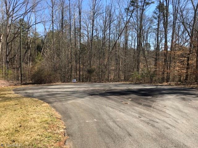 Lot 13 Scott Road Pinnacle, NC 27043 - Photo 1 of 3 Gallery Image 1