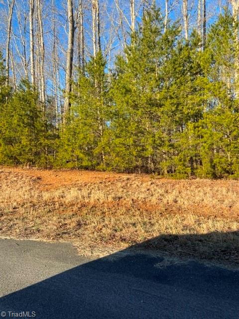 Lot 13 Scott Road Pinnacle, NC 27043 - Photo 2 of 3 Gallery Image 2