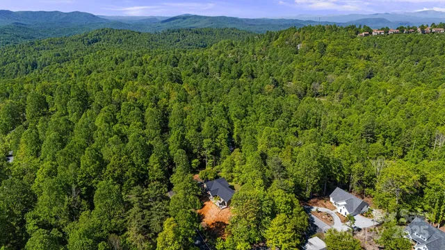 a view of a lush green forest with a house in a yard