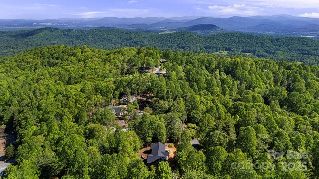 a view of a city with lush green forest