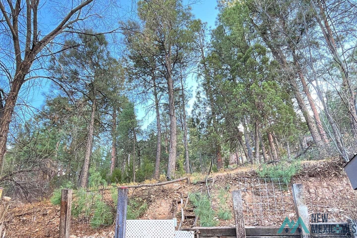 241 Junction Road Ruidoso, NM 88345 - Photo 43 of 44 View of yard
