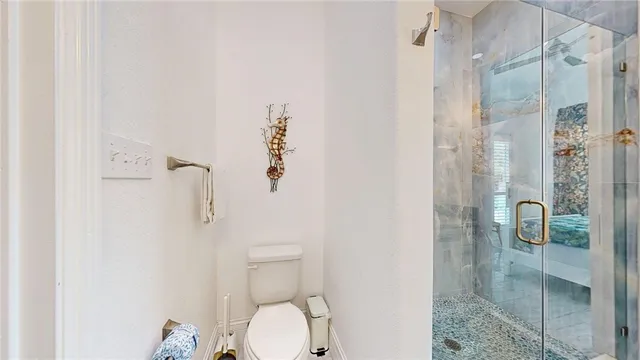 a bathroom with a shower and toilet