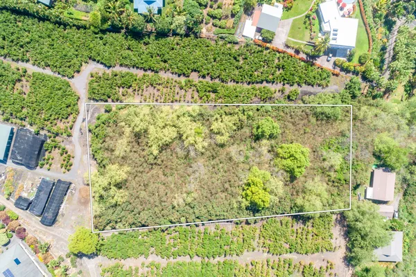 an aerial view of residential houses with outdoor space and trees