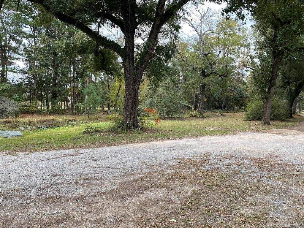 622 Bernice Perkins Road Starks, LA 70661 - Photo 4 of 5 Gallery Image 4