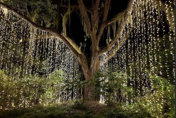 $368,846 | 162 Westfield Circle, Conway, SC 29526