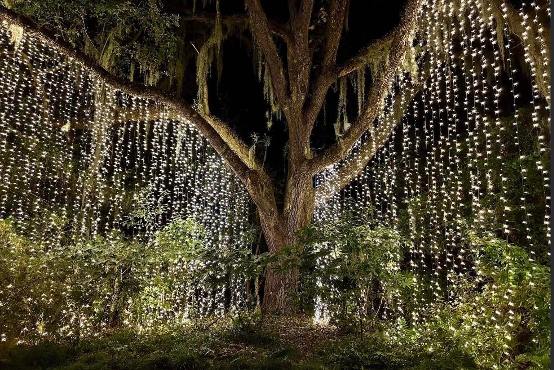 162 Westfield Circle Conway, SC 29526 - Photo 8 of 31 Exterior view