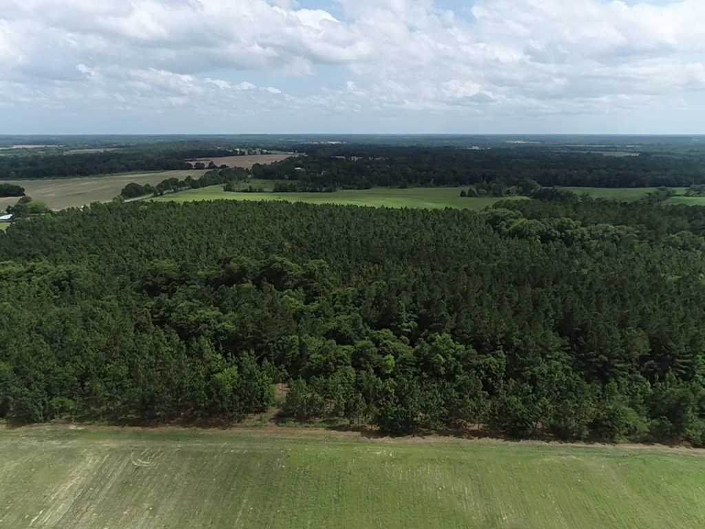 75/ Nuclear Plant Road Columbia, AL 36319 - Photo 23 of 34