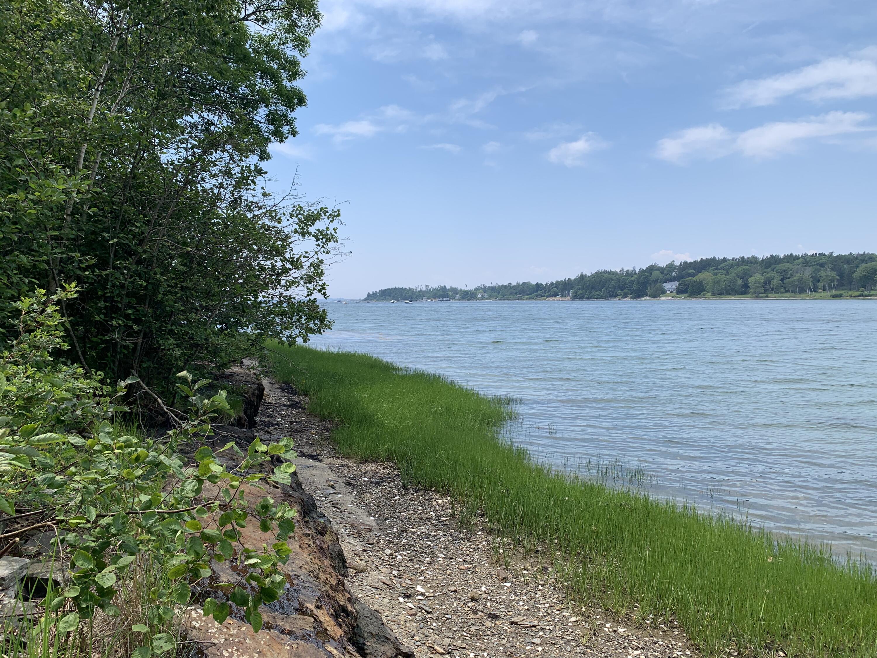 Lot 15 Austin Point Road Harpswell, ME 04079 - Photo 15 of 36 IMG_0053