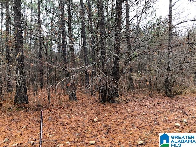 0 Lakeside Lane, Unit 31 Alpine, AL 35014 - Photo 26 of 42