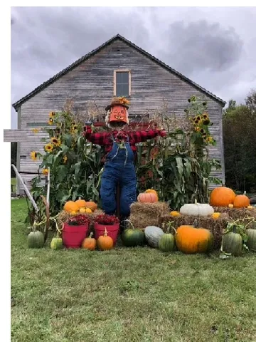 $559,000 | 1245 Milan Road, Milan, NH 03588