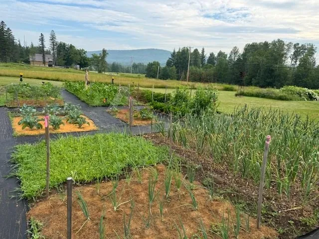 $559,000 | 1245 Milan Road, Milan, NH 03588