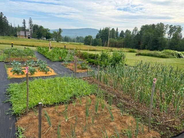 1245 Milan Road Milan, NH 03588 - Photo 41 of 59