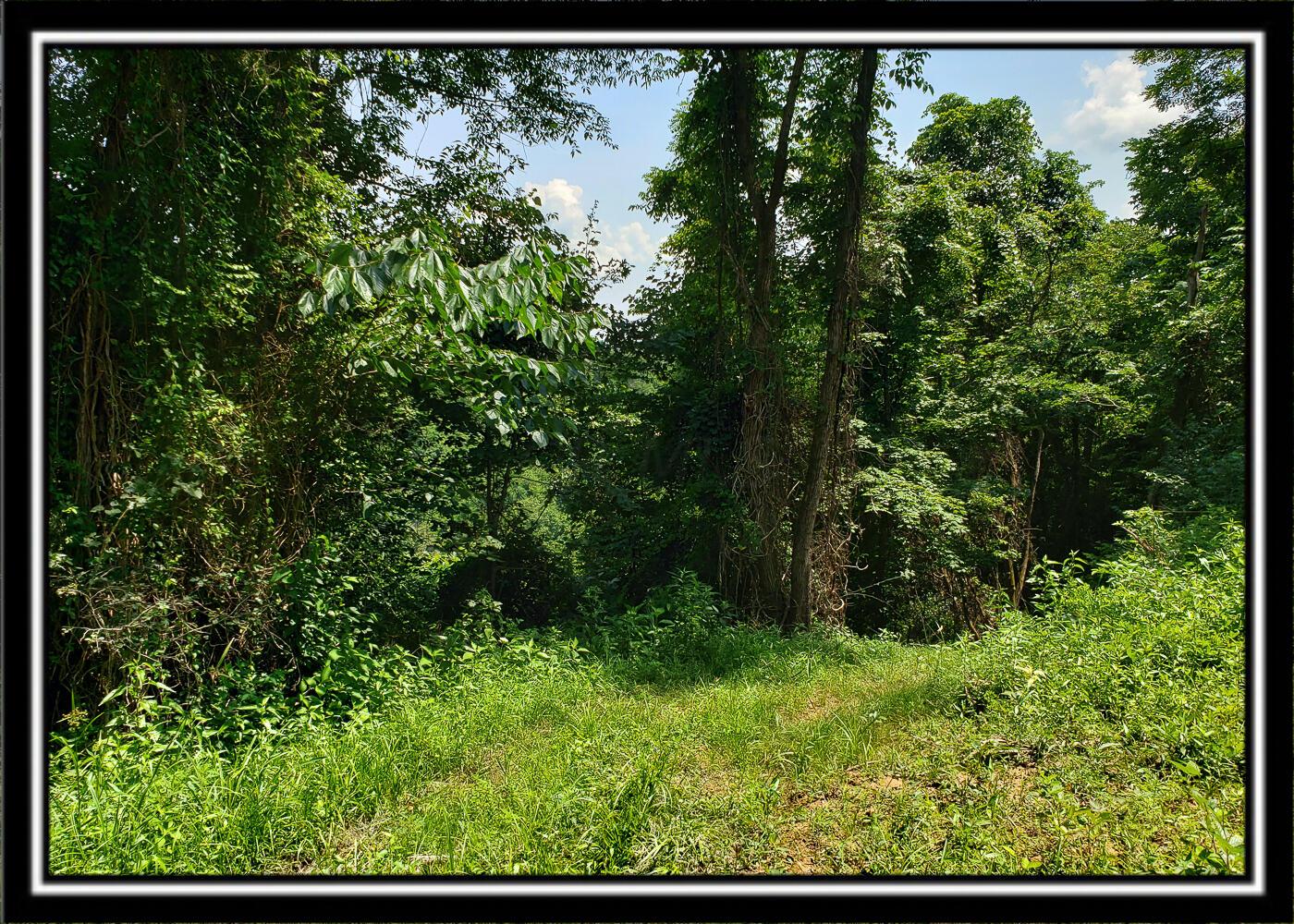 0 Bethel Road, Unit TRACT 4 Patriot, OH 45658 - Photo 25 of 35 CT-25