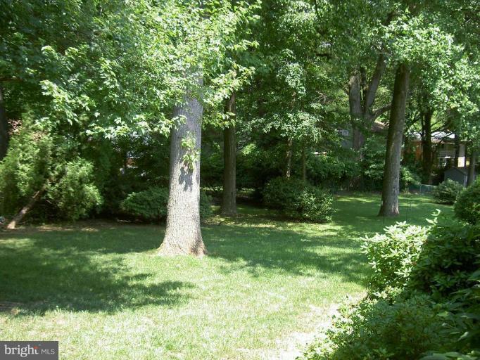 10619 Glenwild Road Silver Spring, MD 20901 - Photo 3 of 10 Relaxing back yard.