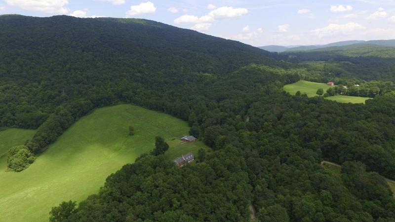 2271 Julia Road Renick, WV 24966 - Photo 65 of 79 Gallery Image 65