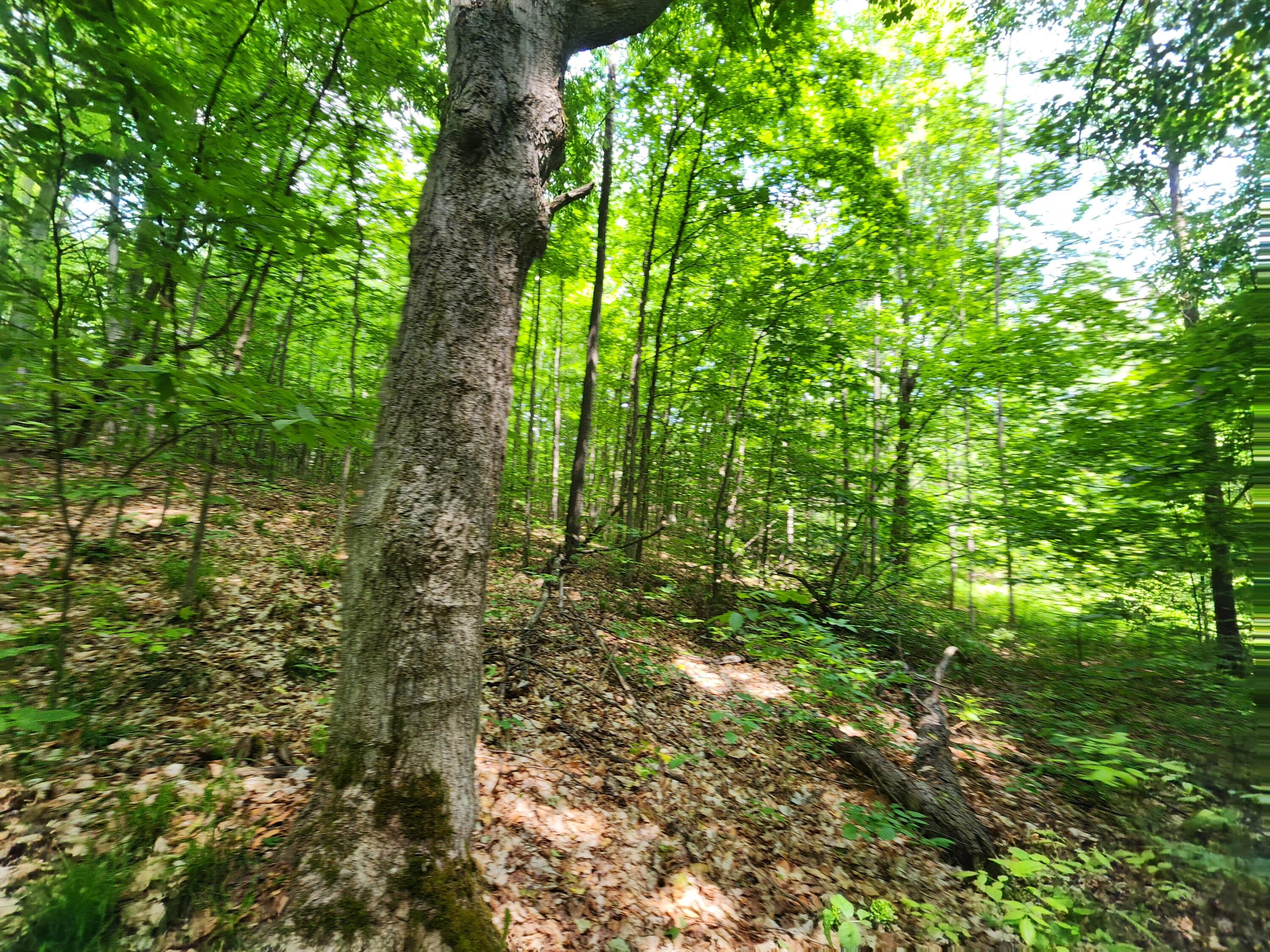 Winding Trail Fairview, MI 48621 - Photo 43 of 47 Gallery Image 43