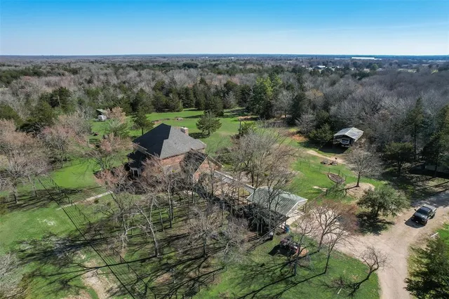 a view of a lush green forest with lots of trees