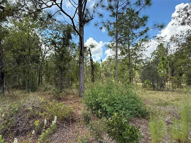 $47,000 | Deer Park Heights Southwest, Dunnellon, FL 34431