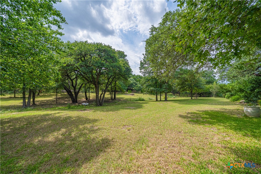 519 Long Meadow Spring Branch, TX 78070 - Photo 31 of 33 a view of a trees with a big yard