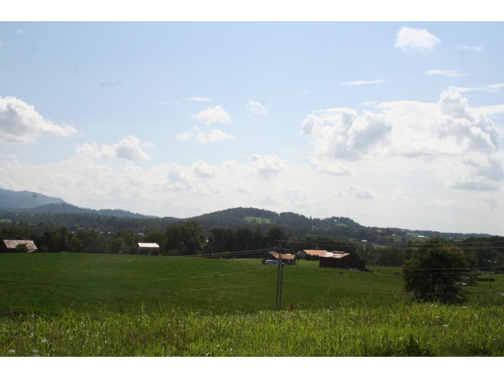 2000 Bailey Bridge Road Limestone, TN 37681 - Photo 4 of 5 Photo 4