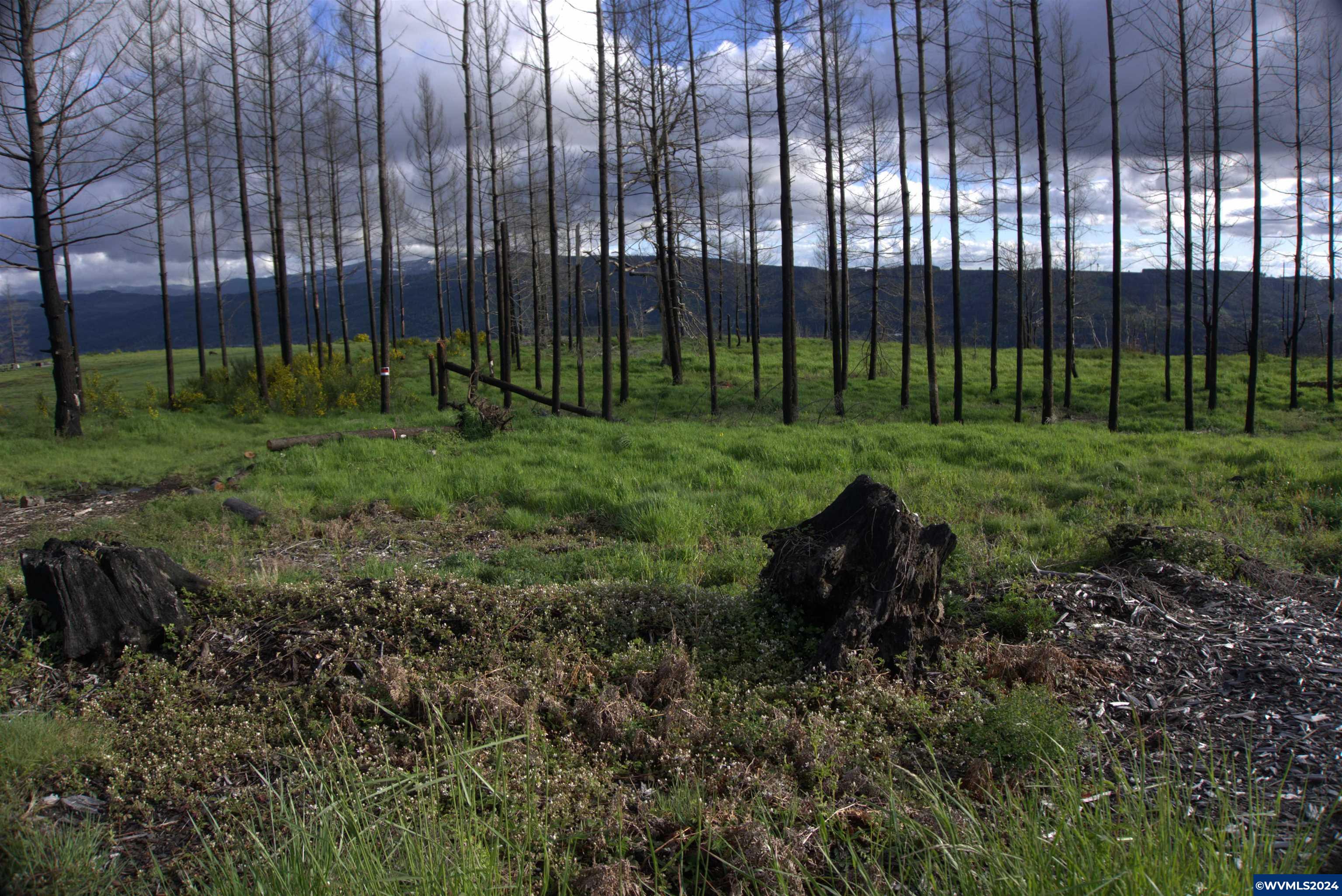 900 Wagner Road Lyons, OR 97358 - Photo 7 of 30
